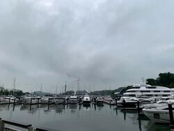 Reflections At Keppel Bay (D4), Condominium #553361581